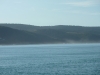 Misty coastline as seen from Lorne Pier