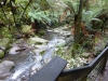 Erskine Falls